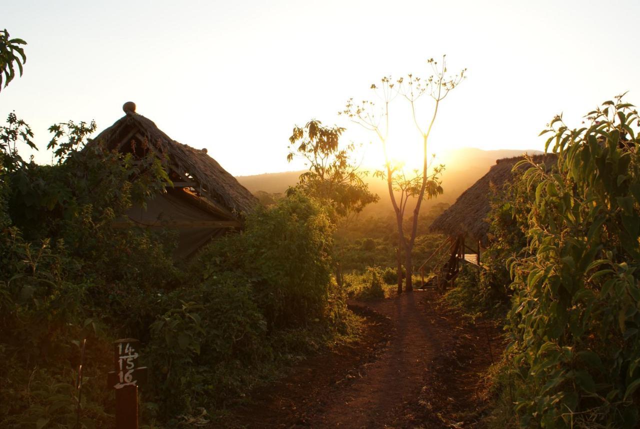 Crater Forest Tented Lodge Karatu Exterior foto